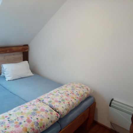 Ubytovani Agnes Jaronice Buitenkant foto